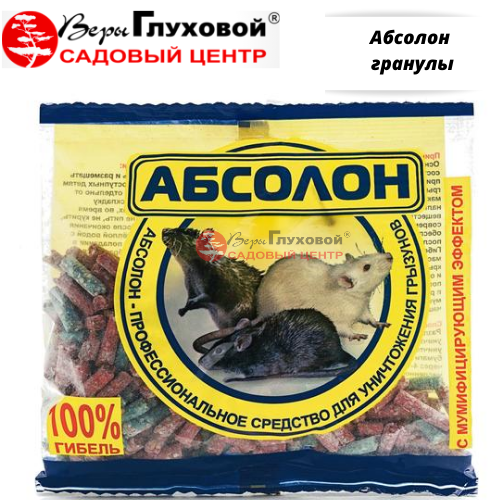 Абсолон