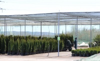 Садовый центр Веры Глуховой активно готовится к открытию сезона